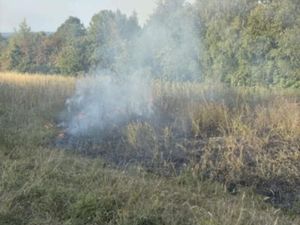 Supporting image for story: Heatwave advice given after grassland fires in the Black Country