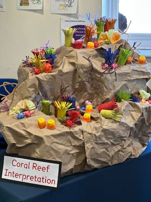 Whole Group Project Work on display. 