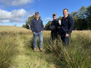 Supporting image for story: Bradford Estates-owned fields to be restored to wetland as part of long-term plan