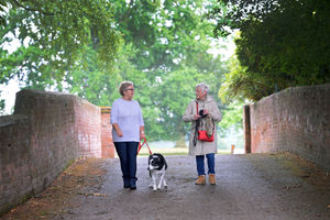 LAST COPYRIGHT EXPRESS&STAR TIM THURSFIELD-12/06/20.People enjoying the reopening of Weston Park, after lockdown..