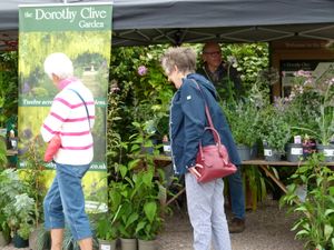 Dorothy Garden Summer Plant Hunters' Fair
