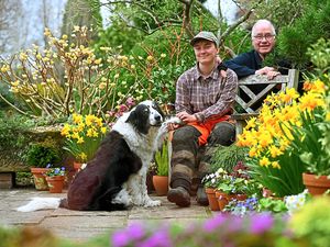 Supporting image for story: Popular Ashwood Nurseries gives award in memory of a much-loved gardener