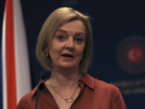 Supporting image for story: Peter Rhodes on growing apples, transplanting kites and the wrong time to make new enemies