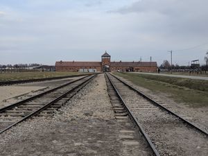 Supporting image for story: 'They built a human killing factory': Facing the horrors of Auschwitz
