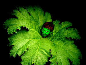 Supporting image for story: Open air Shrewsbury show for Shakespeare play