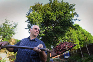 Supporting image for story: Bid to cut down protected tree in Telford over poisonous berries