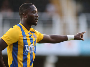 Supporting image for story: Steve Cotterill backing Shrewsbury Town striker Dan Udoh to be a hit