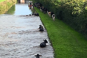 Pictures: @SFRS_MDrayton