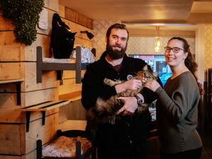 Supporting image for story: Moggie lovers are the cat's whiskers after giving funding boost