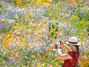 Supporting image for story: Bank Holiday Monday weather forecast for the Black Country