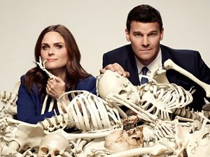 Supporting image for story: Dream Stream: Bones, Family Guy, and Queen of the South