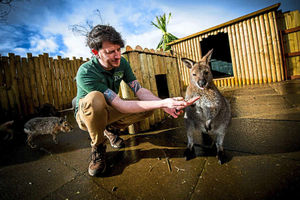 Supporting image for story: Work on Telford's Exotic Zoo nears completion for Easter