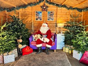 Supporting image for story: ‘Santa Paws’ is Coming to Town: Birmingham Dogs Home announces fundraising events calendar