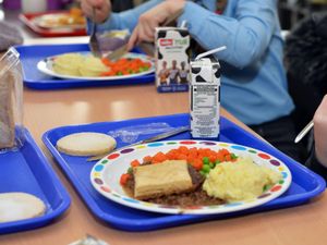 Supporting image for story: Three in 10 school-aged children registered for free school meals – survey