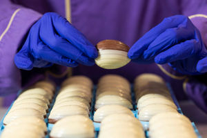 Six eggs will win lucky fans £10,000. Photo: Fabio De Paola/PA Wire