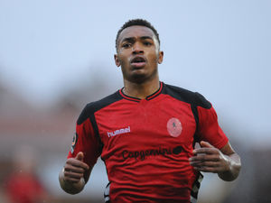 Supporting image for story: Gavin Cowan: Marcus Dinanga will hit goal trail for AFC Telford
