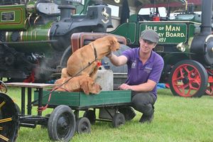 Albert Stephenson, from Shrewsbury, with dogs Drake and Purby