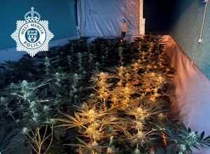 A cannabis farm with an estimated value of almost £500,000 was discovered at a raid in Market Drayton. Picture: West Mercia Police