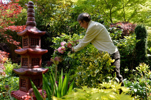 Tony and Marie Newton’s Four Seasons garden in Walsall