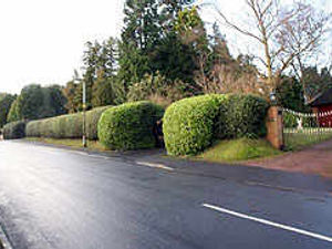 Supporting image for story: Back garden homes fear