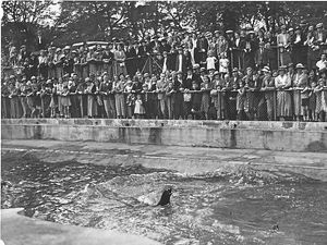 Supporting image for story: Gems of our history that are worth recording