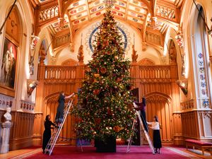 Supporting image for story: Christmas comes to Windsor with towering tree and tiny dolls’ house decorations