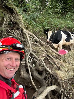 The cow being rescued on Sunday (picture: SFRS)