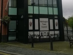 Supporting image for story: Council to trim down committee