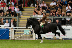 One of the competitors at the Royal Welsh Showground. Image by Andy Compton
