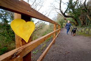 The footpath has been 'renamed' Yellowheart Lane