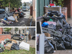 Supporting image for story: Rubbish-laden West Midlands suburb sees 41 fly-tipping incidents reported on one day