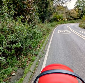 The "dangerous" and overgrown A454
