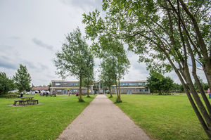 Chasewater Country Park will be a hive of activity when the baton arrives