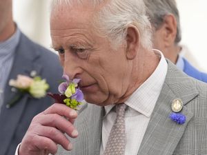 Supporting image for story: King and Duchess of Edinburgh visit Royal Windsor Flower Show