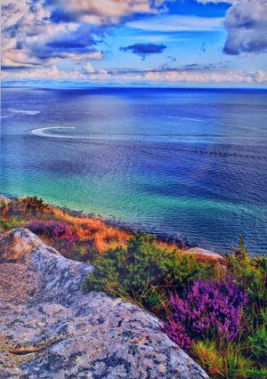 Photo by Josh Sedgley