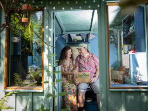 Supporting image for story: Shrewsbury couple win nature's haven shed competition with idyllic hideaway