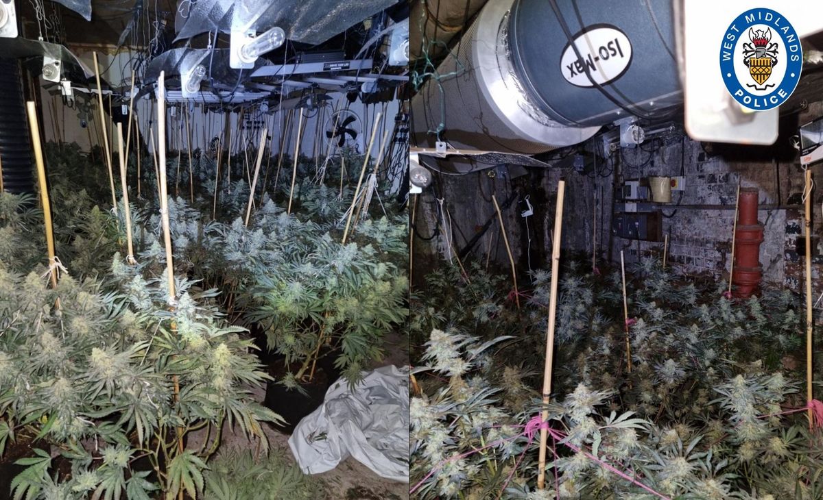 Two Birmingham cannabis farms shut down as West Midlands Police react to community concerns