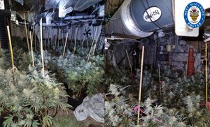 West Midlands Police have shut down two seperate cannabis farms in the Selly Oak and Hockley