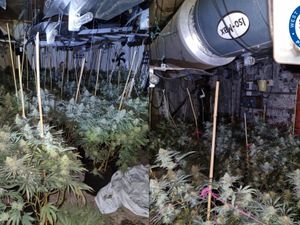 Supporting image for story: Two Birmingham cannabis farms shut down as West Midlands Police react to community concerns