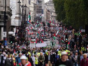 Supporting image for story: Eight arrests at latest pro-Palestinian protest in London