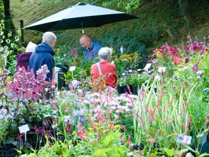Supporting image for story: Popular late summer plant fair returns to Bodenham Arboretum this Saturday