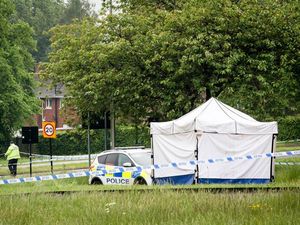 Supporting image for story