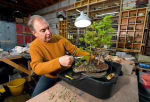 Ian helps people to learn how to care for their trees