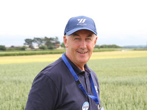 Supporting image for story: Dark threat to growers posed by blackgrass