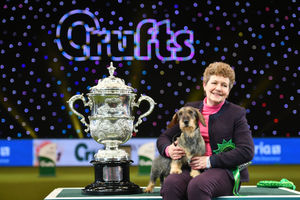 Maisie the Wire-haired Dachshund winner of Best in Show 2020 at the Birmingham National with her owner Kim McCalmont at the Exhibition Centre (NEC) during the Crufts Dog Show
