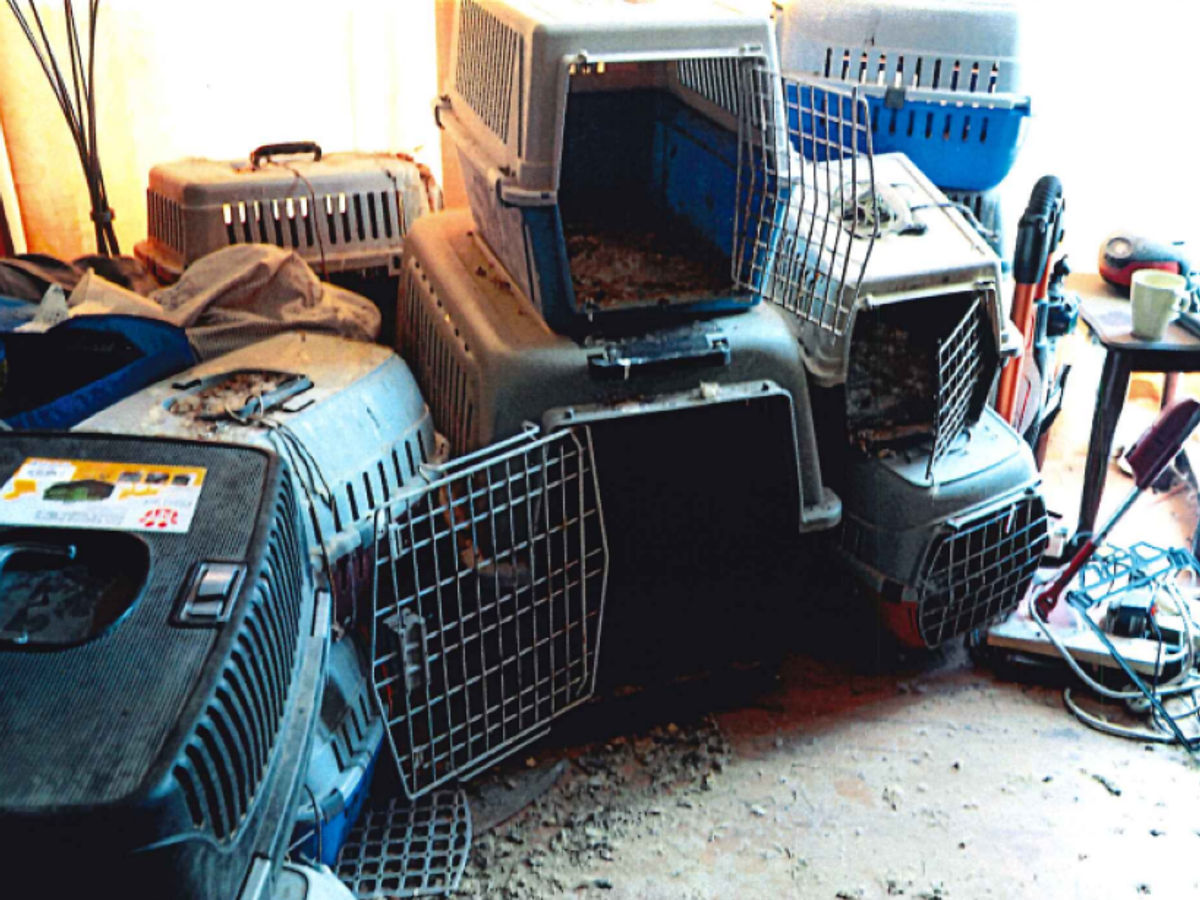 Man who kept birds of prey in &lsquo;appalling&rsquo; conditions banned from owning animals