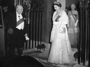 Supporting image for story: Churchill loved the Queen, says former PM’s grandson