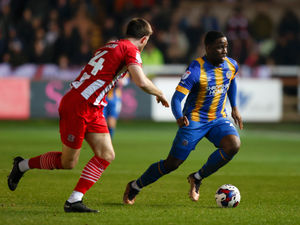 Supporting image for story: Exeter 0 Shrewsbury 0 - Report 