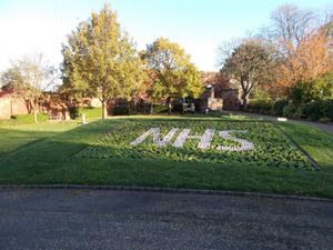 Supporting image for story: Blooming marvellous way to thank NHS workers