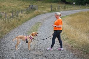 Canicross is suitable for all dogs, small and large